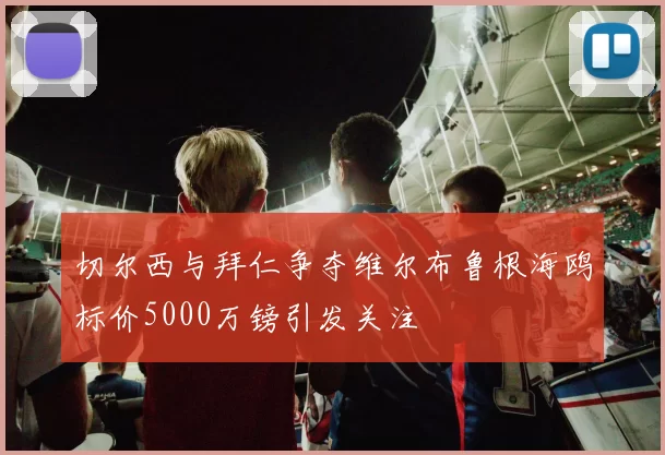 切尔西与拜仁争夺维尔布鲁根海鸥标价5000万镑引发关注
